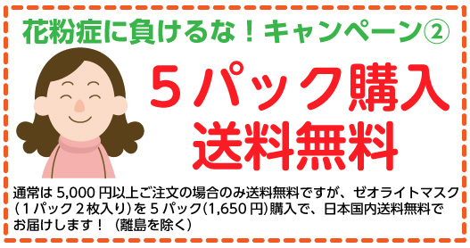 ゼオライトマスク５パック購入で送料無料