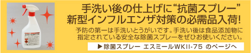 新型インフルザ対策手洗い後に抗菌スプレー