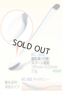 画像1: 離乳食(介護)スプーン:深型 (1)