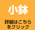 子ども用小鉢