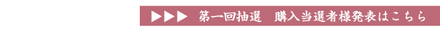 特別企画 柿右衛門窯 御謹製 偏斜桜花文皿抽選販売